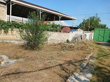 visnofkada torpaq: 5 sot, Tikinti, Mülkiyyətçi, Kupça (Çıxarış) — 4