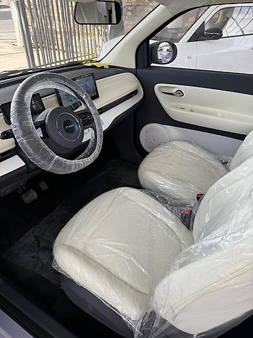 крыло на лупарик: Microcar : 2026 г., Автомат, Электромобиль, Хэтчбэк — 7