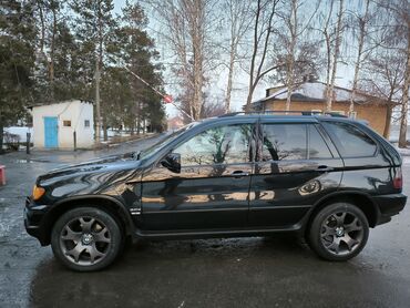 малинки машина: BMW X5: 2003 г., 3 л, Автомат, Дизель, Кроссовер