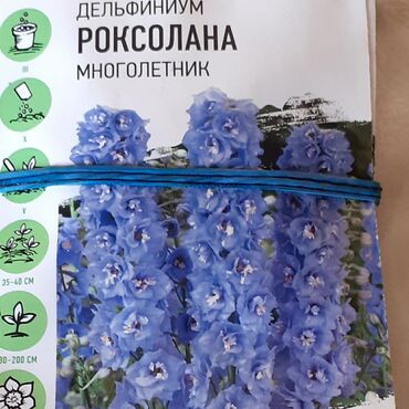 Другие книги и журналы: Продается семена дельфиниумов и катарантусов — 8