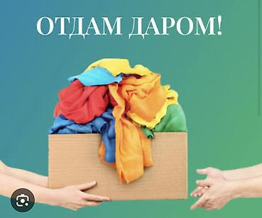 lady: Отдам даром пакет женских вещей, размер М адрес: Боконбаево 247 — 1