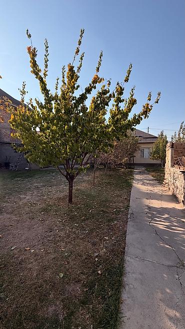 арчалы: 5 комнат, 200 м², 8 соток, Бишкек, Киргизия 1 Собственник — 6
