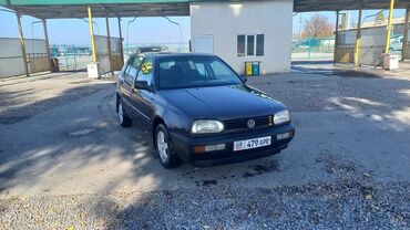 фольксваген жук: Volkswagen Golf: 1993 г., 1.6 л, Механика, Бензин, Хэтчбэк