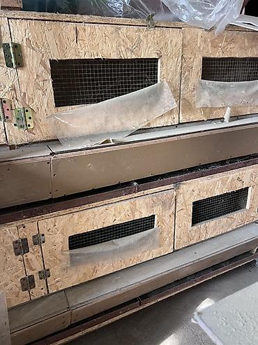 Kənd təssərüfatı avadanlığı: Quşçuluq avadanlıqları paketi 1056yumurtalıq inkibator xüsusi — 6