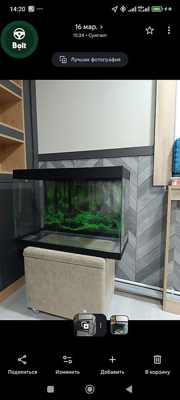 Akvariumlar: Topdan satılır say çoxdu ölçülər 30×25×15 (. 11 litir qapaqlı və -da lalafo.az — 16 Akvariumlar: Topdan satılır say çoxdu ölçülər 30×25×15 (. 11 litir qapaqlı və — 16