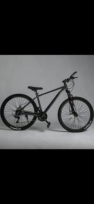 velosiped 29 satilir: Şəhər və yüngül off-road üçün universal dağ velosipedləri - Çərçivə — 2