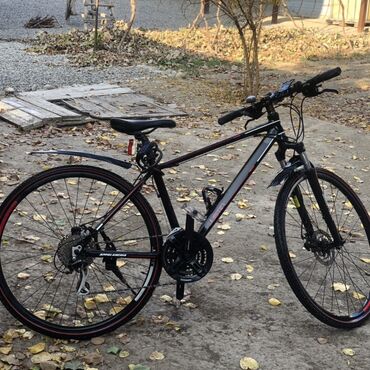 спортивные велик: Шаардык велосипед, Велосипед алкагы M (156 - 178 см), Жаңы