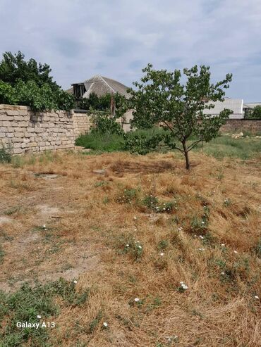 Həyət evləri və villalar: 3 sot, Tikinti, Mülkiyyətçi, Bələdiyyə