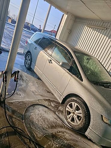 два авто: Honda Odyssey: 2004 г., 2.4 л, Автомат, Бензин, Минивэн — 7