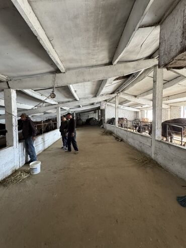 2х этажные дома: Сатам Кой короо, 143 соток, Иштеп жаткан, Жабдуулары менен, Электр энергиясы, Канализация, Жылытуу