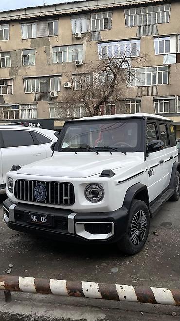 byd e1: JMEV : 2026 г., Автомат, Электромобиль, Кроссовер — 2