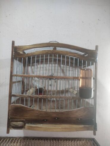 птице ферма: Клетка для певчих птиц канареек, щеглов ручная работа, мало б/у