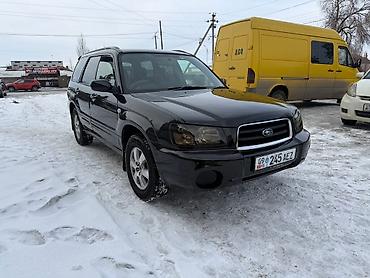 Subaru: Subaru Forester: 2003 г., 2 л, Автомат, Бензин, Внедорожник — 3