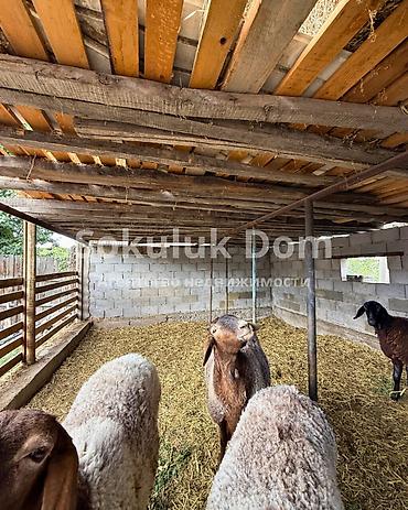 1: 🏠Продаётся дом в с. Сокулук 🟡Комнаты: 3 🟡Участок: 7 соток — 5