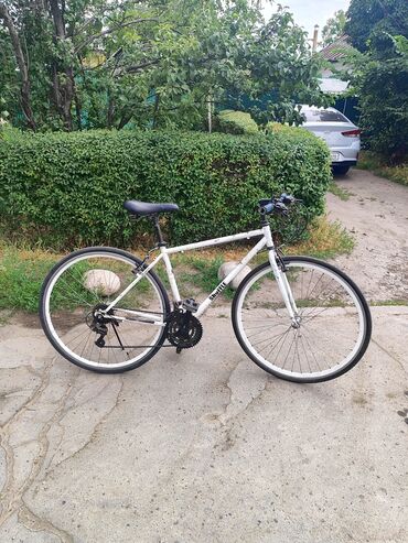 велосипед ginina: Шоссик Размер колес - 28 Рама - 19 Все в рабочем состоянии, реальному