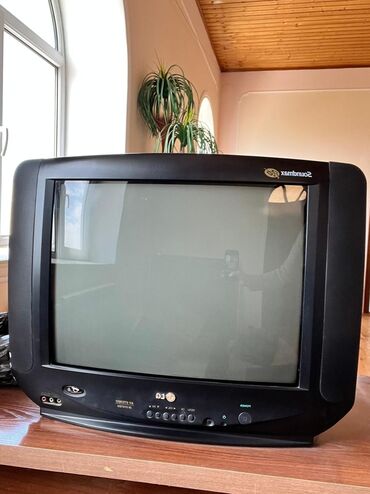 Televizorlar: 100