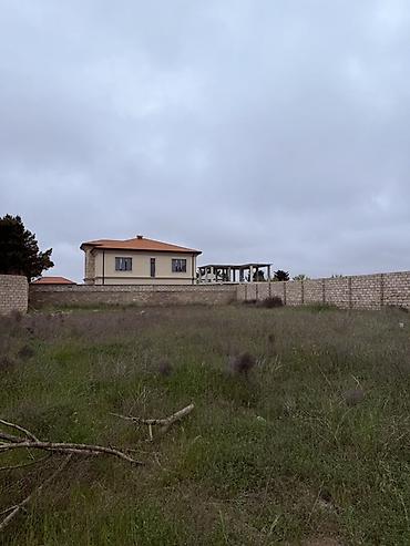 massive: 12 sot, Tikinti, Kupça (Çıxarış) — 7