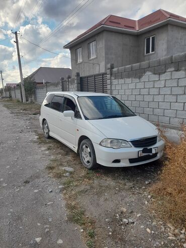 продаю адиссей: Honda Odyssey: 2001 г., 2.3 л, Автомат, Бензин, Минивэн