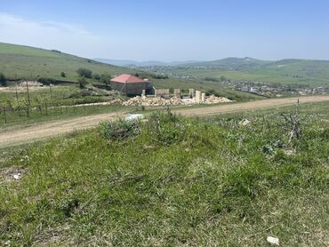 Torpaq sahələrinin satışı: 12 sot, Tikinti, Makler, Kupça (Çıxarış)