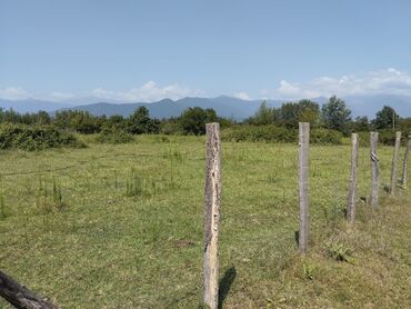 torpaq: 6 sot, Tikinti, Kupça (Çıxarış)