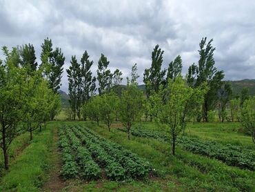 Продажа участков: 120 соток, Для сельского хозяйства, Красная книга — 13