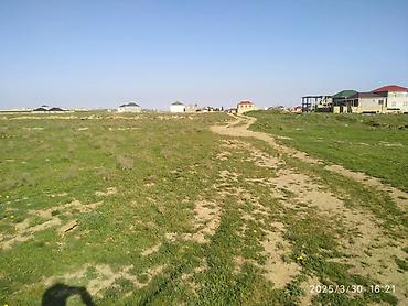absheron: 26 sot, Mülkiyyətçi, Kupça (Çıxarış) — 5
