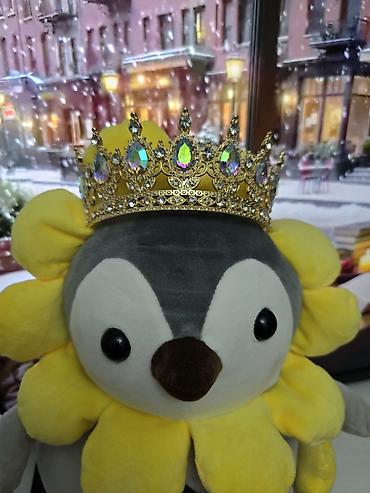 Аксессуары для волос: Аксессуар для волос, Диадема, Женские, Материал: Металл, Новый — 3