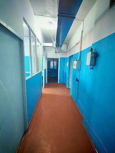 Продажа другой коммерческой недвижимости: Коммерческая недвижимость для вашего бизнеса в Военно-Антоновке! — 11