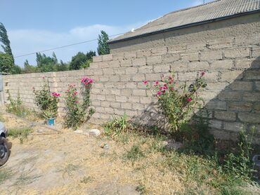 su iti yağının faydaları: Salam olsun ev satilir umumilikde 12 sotdur 10 sot resmi 2 sot