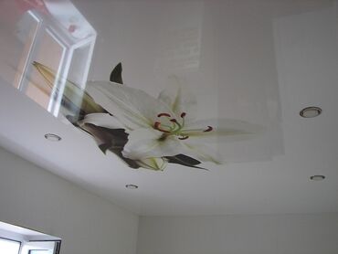 Натяжной потолок: Натяжной потолок 3D потолки, Глянцевое, Матовое — 7