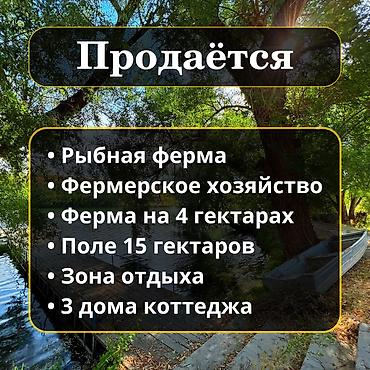 Продажа сельхоз предприятий: Рыбное хозяйство, 400 соток, Действующий, С оборудованием, Электричество, Скважина, Холодная вода — 1