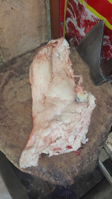 продается мясо говядина: Жир говядина кг 130 сом Бишкек