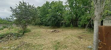 sabirabad torpaq: Tikinti, Mülkiyyətçi, Kupça (Çıxarış) — 1