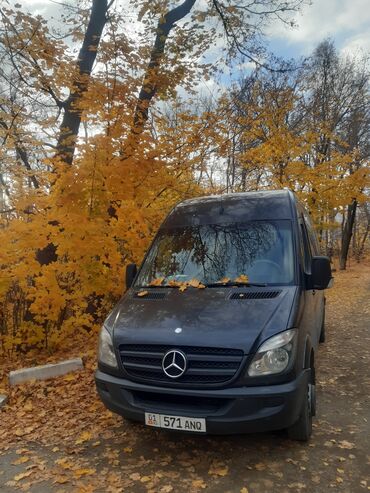 Автобусы и маршрутки: Автобус, 2006 г.
