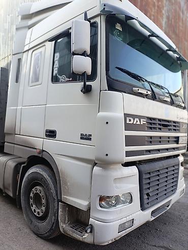 Тягачи: Тягач, DAF, 2006 г. — 15