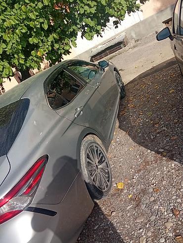 shevrolet malibu: Toyota Camry: 2019 г., 2.5 л, Автомат, Бензин, Седан — 5