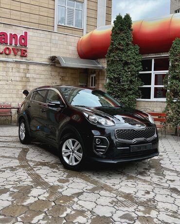 дизель вента: Kia Sportage: 2017 г., 1.7 л, Автомат, Дизель, Кроссовер