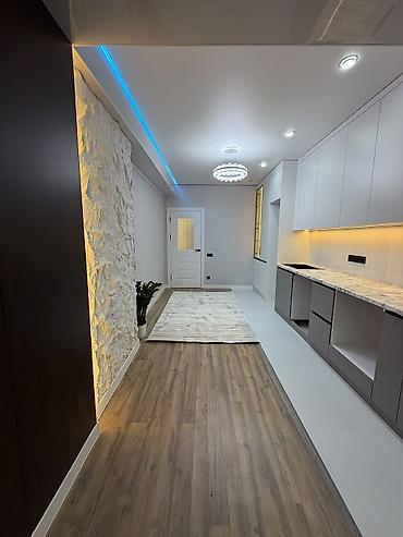1 комната, 48 м², Пишпек Элитка, 5 этаж, Евроремонт