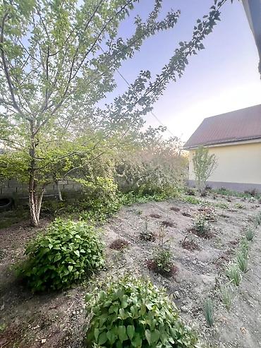 Продажа коттеджей и домов: 🏙️ Продаётся: дом, 4-ком — 120 м² 📍 Локация: с. Новопокровка участок — 14