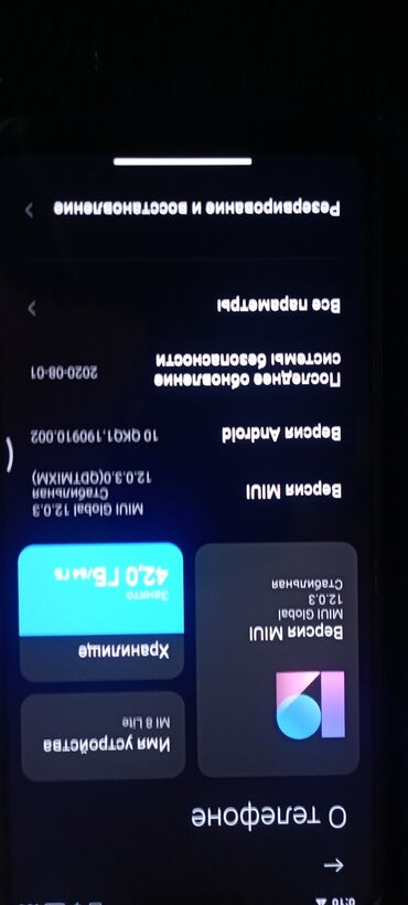 боторея: Xiaomi, Mi 8 Lite, Б/у, 64 ГБ, цвет - Серый, 2 SIM