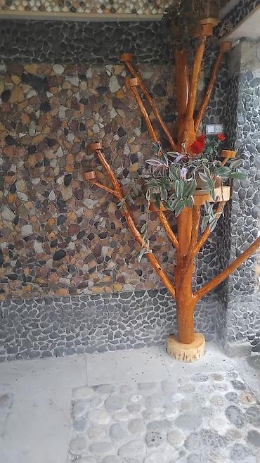Pulsuz: Cay dawlarin satiwi hər cürə — 14