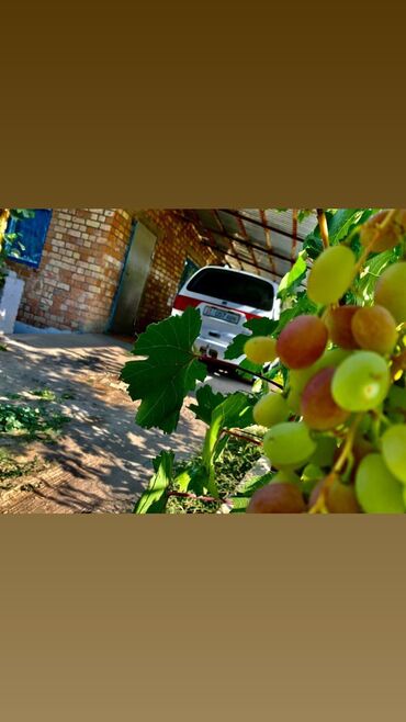 Продажа домов: Дача, 55 м², 5 комнат, Старый ремонт — 5