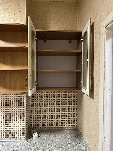 Кухонные гарнитуры: Кухонный гарнитур — 1