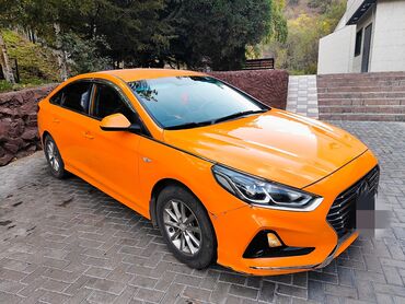 моей доплатой: Hyundai Sonata: 2018 г., 2 л, Автомат, Газ, Седан