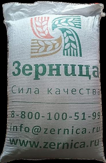 мучные черви: Продаю Семена льна. Лен. Лён — 2