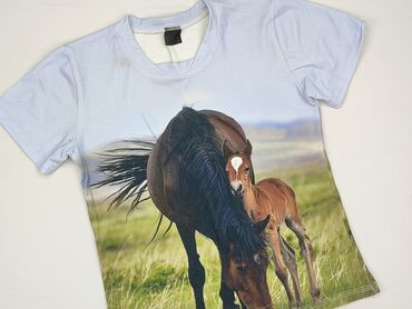 podkoszulki adisad olx: T-shirt, 12 years, 146-152 cm, condition - Very good