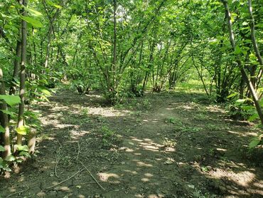 Həyət evləri və villaların satışı: 5 otaqlı, 158 kv. m, Orta təmir -da lalafo.az — 10 Həyət evləri və villaların satışı: 5 otaqlı, 158 kv. m, Orta təmir — 10