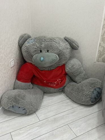 Lixiang: Nəhəng yumşaq oyuncağ ayı

Teddy 140sm 50manat