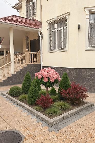 Швея: Ландшафтный дизайн Автополив под ключь 👌🏻🏡 Аман звоните — 9