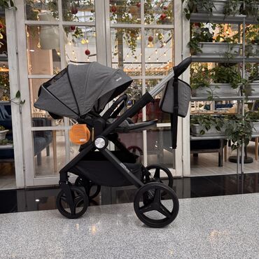 Коляски: Коляска, Новый — 7